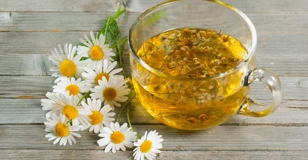 Chá de Camomila