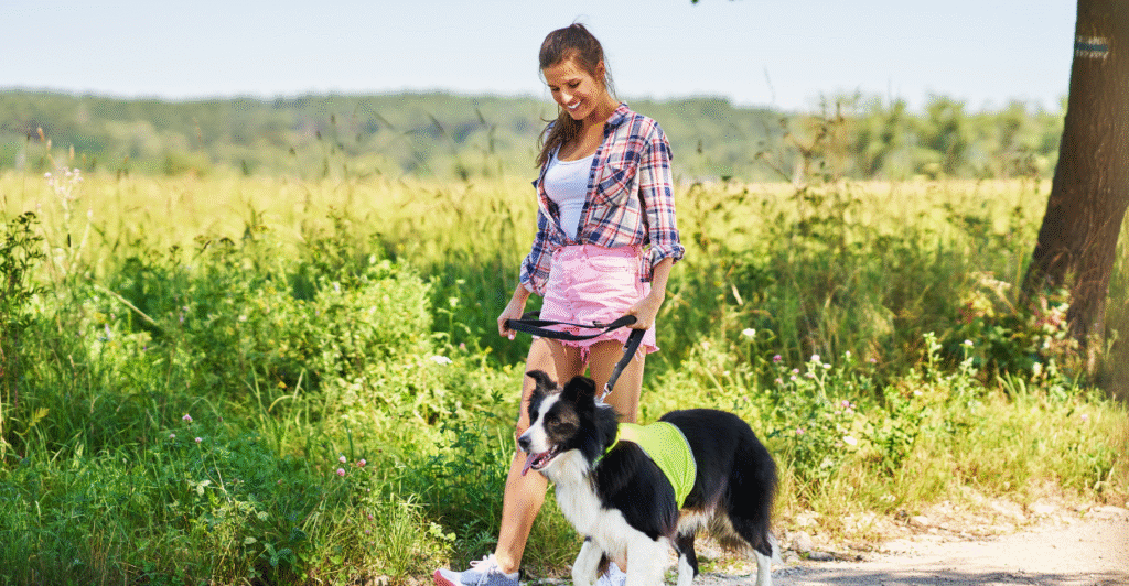 desacelerar não é parar